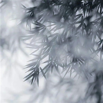 父亲用的头像图片大全(16张)