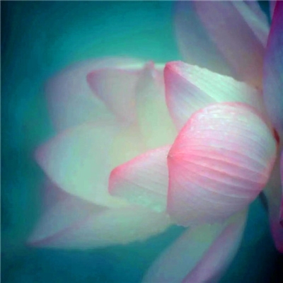 父亲用的头像图片大全(16张)