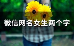 微信网名女生两个字(精选121个)
