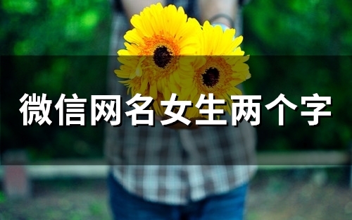 微信网名女生两个字(精选121个)