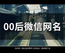 00后微信网名(95个)