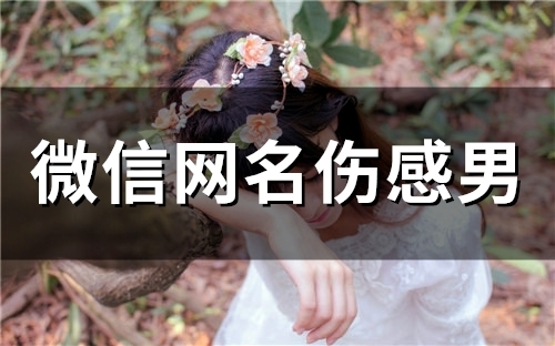 微信网名伤感男(158个) 微信网名伤感男(158个)