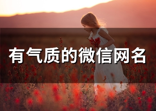 有气质的微信网名(150个) 有气质的微信网名(150个)