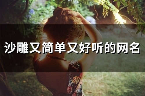 沙雕又简单又好听的网名(精选101个)