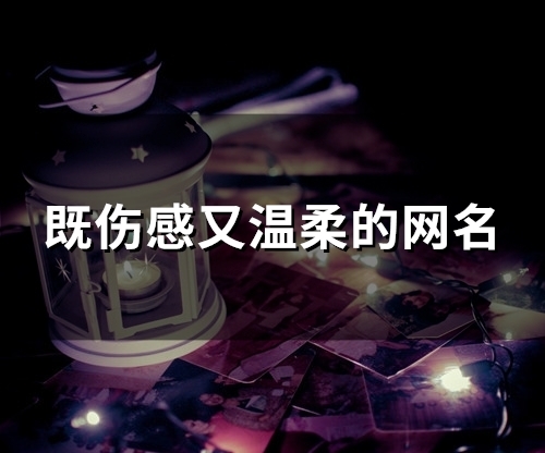 既伤感又温柔的网名(精选122个)