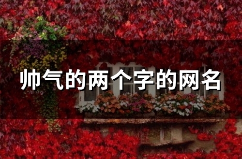 帅气的两个字的网名(125个)