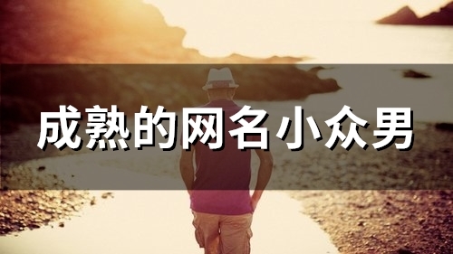 成熟的网名小众男(精选157个)