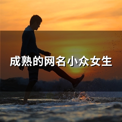 成熟的网名小众女生(86个) 成熟的网名小众女生(86个)