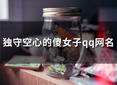 独守空心的傻女子qq网名(63个)
