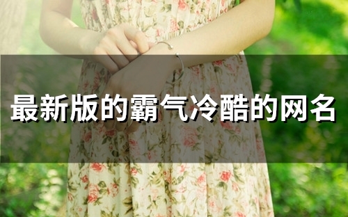 最新版的霸气冷酷的网名(90个)