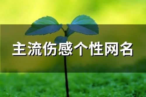 主流伤感个性网名(精选89个)
