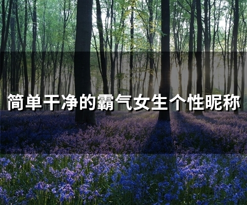 简单干净的霸气女生个性昵称(82个)