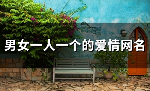 男女一人一个的爱情网名(118个)