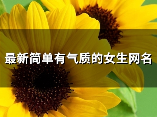 最新简单有气质的女生网名(103个)