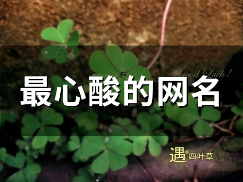 最心酸的网名(精选101个)