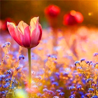 2023最走运微信头像(18张)