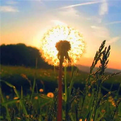 2023最走运微信头像(18张)