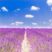 2023快手最火的头像(16张)