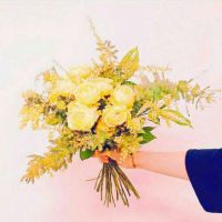 2023年最火鲜花微信头像(22张)