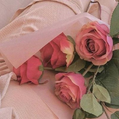 2023年最火鲜花微信头像(22张)