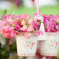 2023年最火鲜花微信头像(22张)