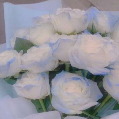 2023年最火鲜花微信头像(22张)