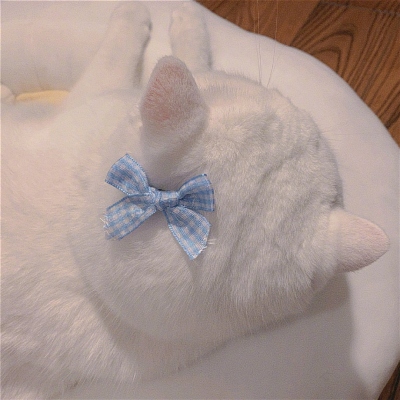 2023最火冷酷狗狗头像(26张)