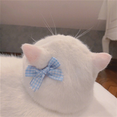 2023最火冷酷狗狗头像(26张)