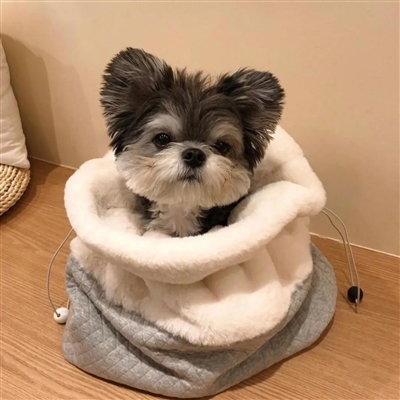 2023最火冷酷狗狗头像(26张)