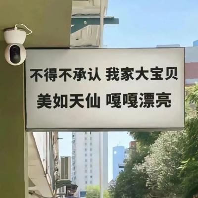 2023年带字最火的头像(22张)