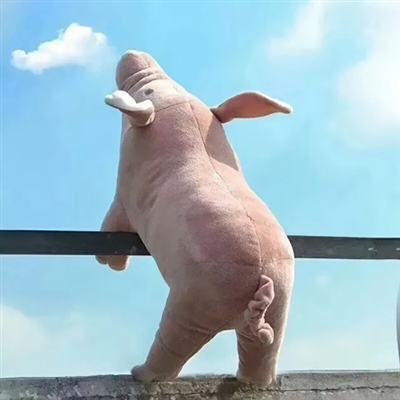 2023年最火的沙雕微信头像(24张)