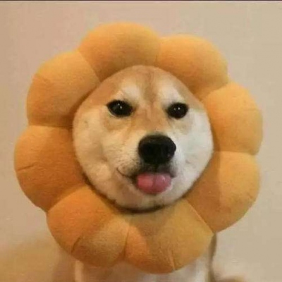 2023年最火沙雕的头像(22张)