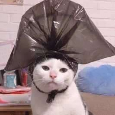 2023年最火沙雕的头像(22张)