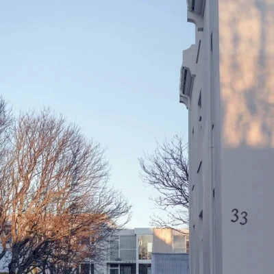 2023最流行的壁纸头像(精选22张)