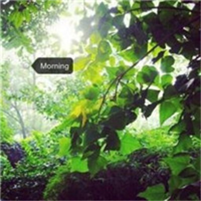 2023最火风景图片头像(精选24张)