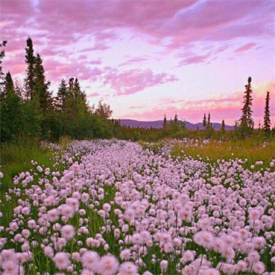 抖音最火2023头像(精选16张)