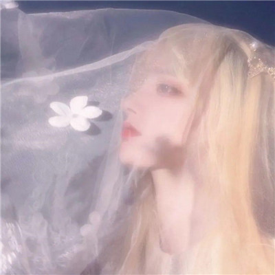 2023年最火婚纱照头像(精选12张)