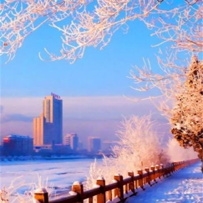 2023最火的快手头像(精选24张)