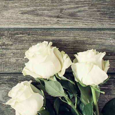 2023最火立体微信头像(精选24张)