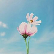 最近2023最火微信头像(精选24张)