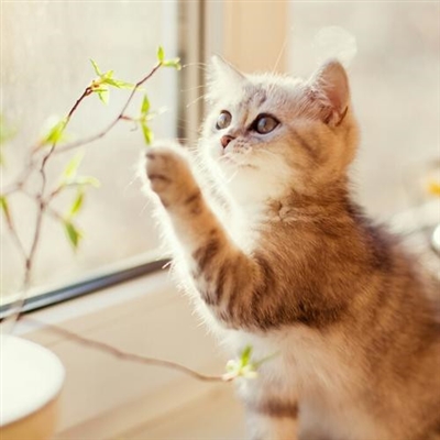 2023款最火微信头像(20张)