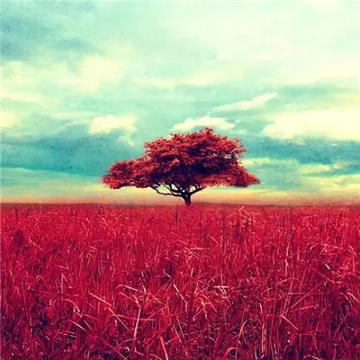 2023年最火流行头像(22张)