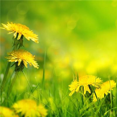 2023年最火流行头像(22张)