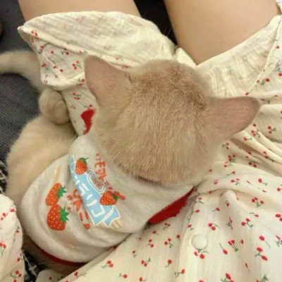 2023年最流行动物头像(精选24张)