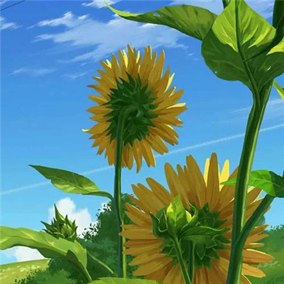 2023全国最火微信头像(精选24张)