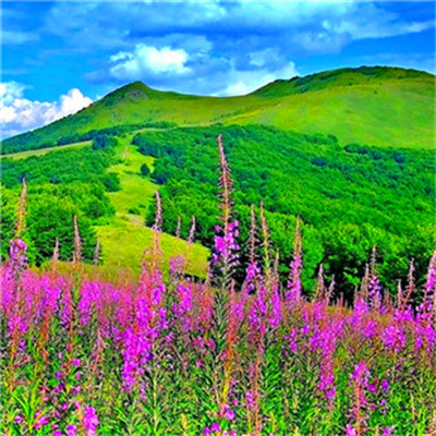 2023年最火最运气好的头像(22张)