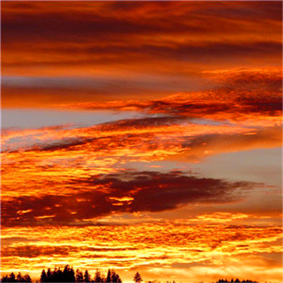 2023年最火最运气好的头像(22张)