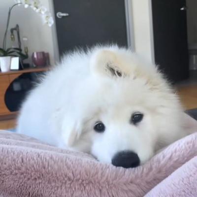 2023最火搞钱猫头像(精选22张)