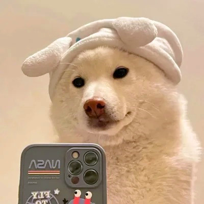 2023最火搞怪动物头像(精选24张)