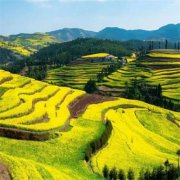 2023最舒心的微信头像(24张)